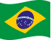 Português (Brasil)